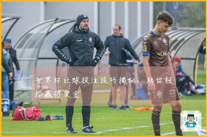 世界杯让球投注技巧揭秘，助你轻松赢得奖金