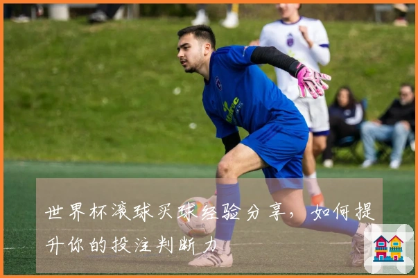 世界杯滚球买球经验分享，如何提升你的投注判断力