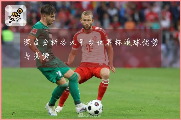 深度分析各大平台世界杯滚球优势与劣势