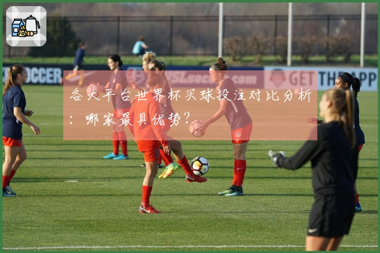 各大平台世界杯买球投注对比分析：哪家最具优势？