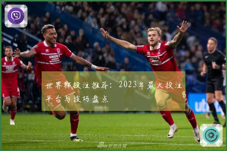 世界杯投注推荐：2023年最火投注平台与技巧盘点